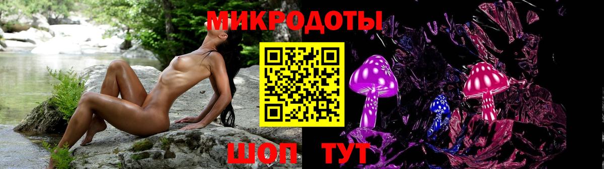 Псилоцибиновые грибы прущие грибы Новороссийск
